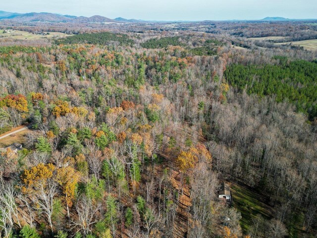 TBD Seville Rd, Rochelle, VA 22738