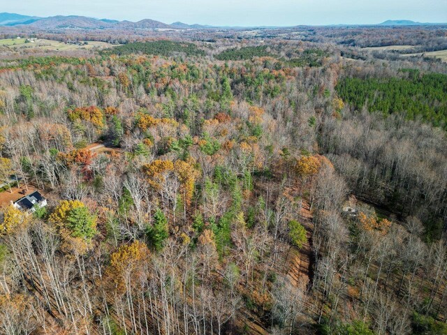 TBD Seville Rd, Rochelle, VA 22738