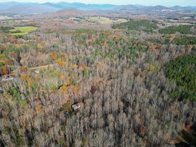 TBD Seville Rd, Rochelle, VA 22738