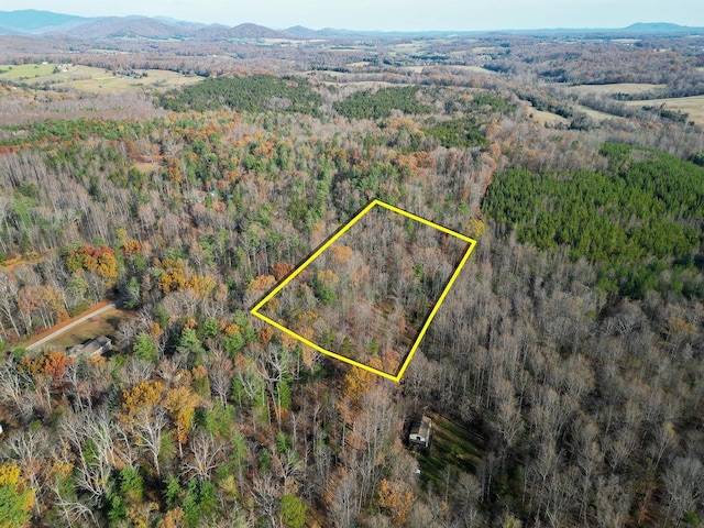TBD Seville Rd, Rochelle, VA 22738