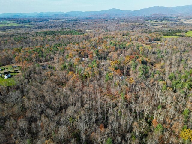 TBD Seville Rd, Rochelle, VA 22738