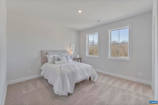 32B Ashlin Cv, Charlottesville, VA 22901 - photo 34