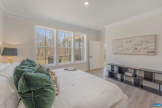 32B Ashlin Cv, Charlottesville, VA 22901 - photo 26