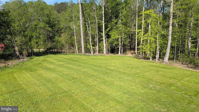 176 Tussing Ln, Rochelle, VA 22738 - view of grassy yard featuring a forest view