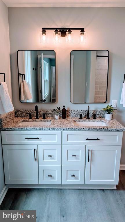 176 Tussing Ln, Rochelle, VA 22738 - full bath featuring wood finished floors, double vanity, and baseboards