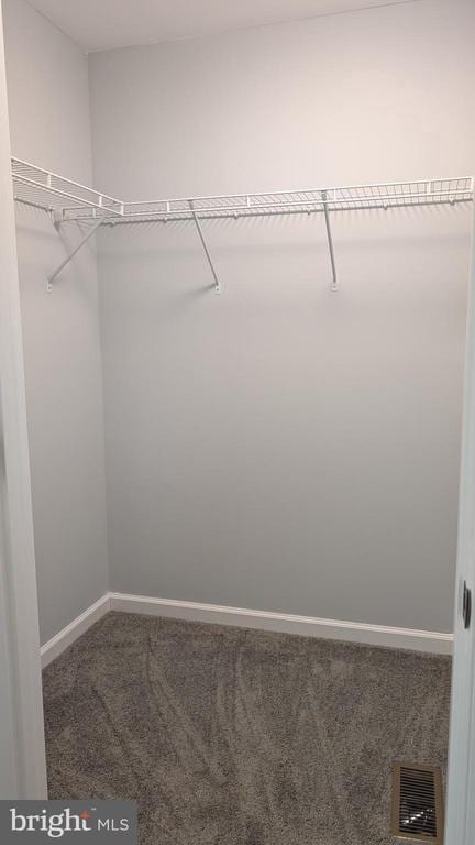 176 Tussing Ln, Rochelle, VA 22738 - spacious closet featuring carpet