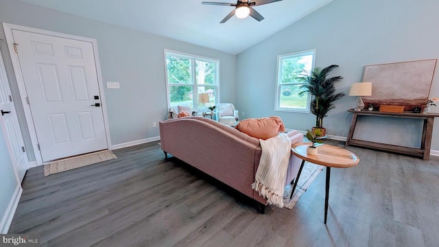 176 Tussing Ln, Rochelle, VA 22738 - living room with wood finished floors, a ceiling fan, baseboards, and lofted ceiling