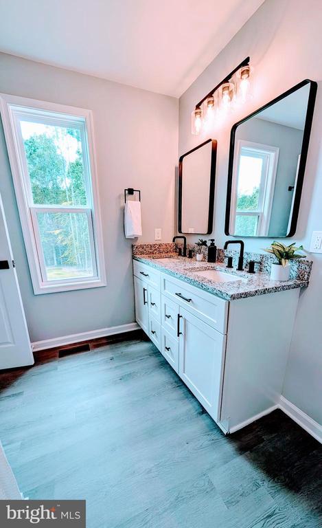 176 Tussing Ln, Rochelle, VA 22738 - bathroom featuring double vanity, plenty of natural light, and wood finished floors