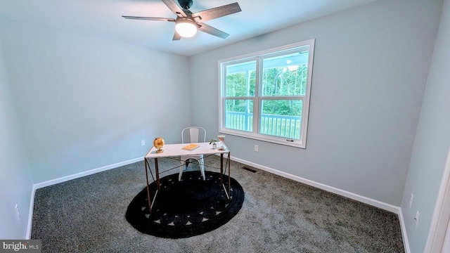 176 Tussing Ln, Rochelle, VA 22738 - home office with carpet floors, baseboards, and ceiling fan