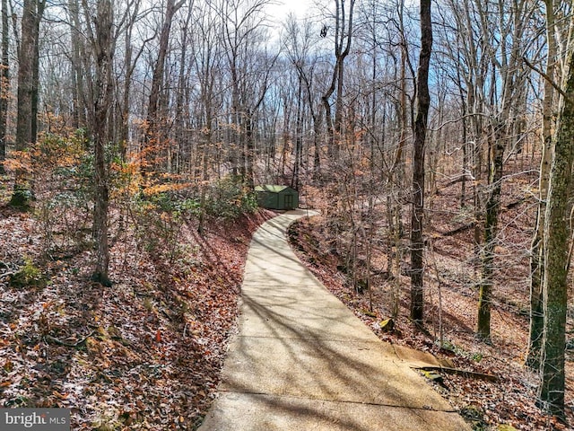 87 River Bend Rd E, Fredericksburg, VA 22407 - view of home's community with a forest view