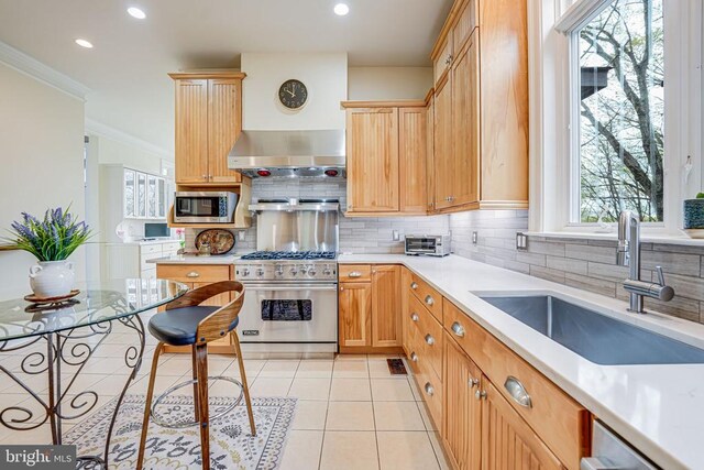 87 River Bend Rd E, Fredericksburg, VA 22407 - kitchen with a sink, wall chimney range hood, stainless steel appliances, backsplash, and ornamental molding