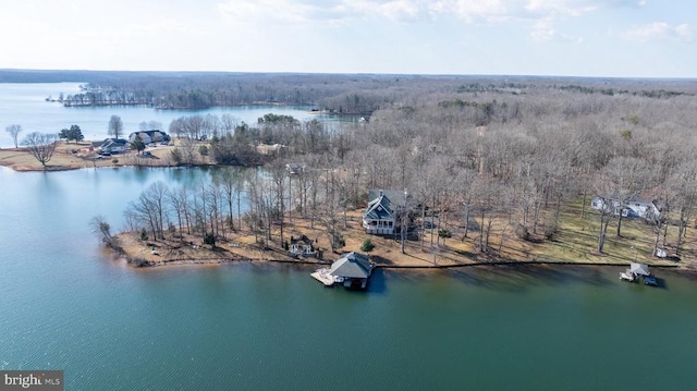 bird's eye view with a water view and a forest view