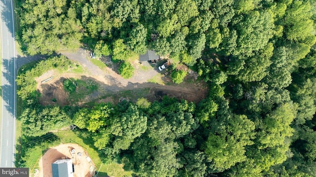 Germanna Hwy, Locust Grove, VA 22508 - photo 14