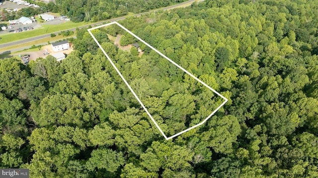 Germanna Hwy, Locust Grove, VA 22508 - photo 3