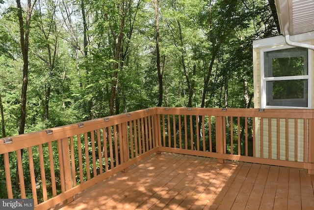 6513 Deerskin Dr, Fredericksburg, VA 22407 - photo 6