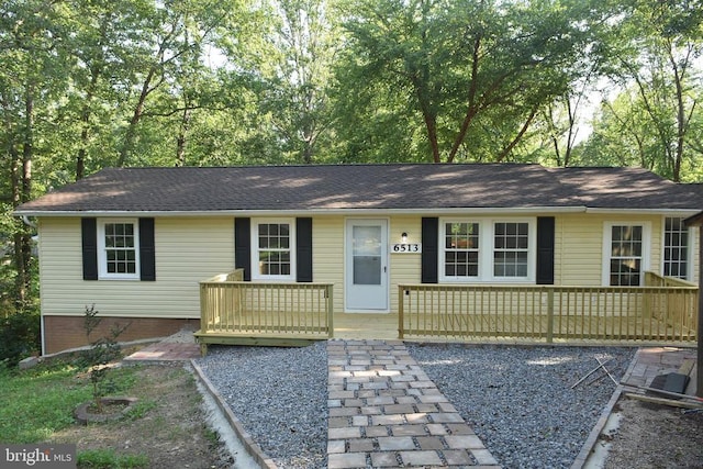 6513 Deerskin Dr, Fredericksburg, VA 22407 - photo 49