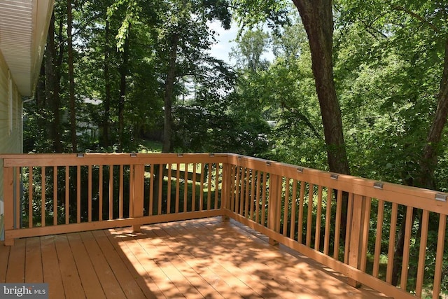 6513 Deerskin Dr, Fredericksburg, VA 22407 - photo 7