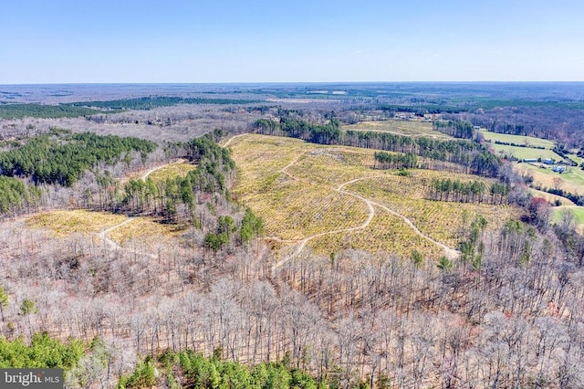 Yellowbottom Rd, Lignum, VA 22726