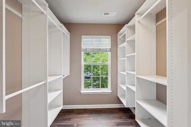 6215 Hot Spring Ln, Fredericksburg, VA 22407 - spacious closet featuring dark wood-type flooring