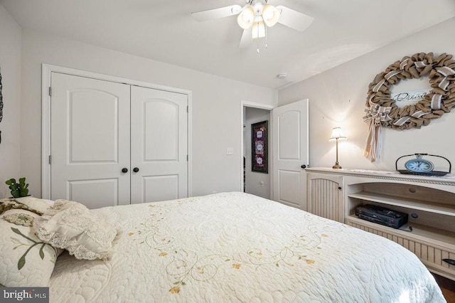 53 Arthur Ln, Luray, VA 22835 - bedroom featuring a closet and a ceiling fan
