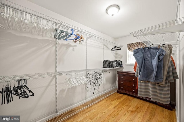 53 Arthur Ln, Luray, VA 22835 - walk in closet featuring wood finished floors
