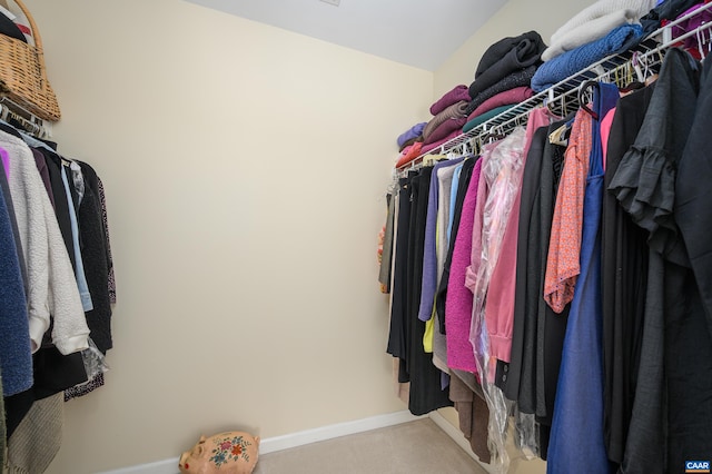 view of walk in closet