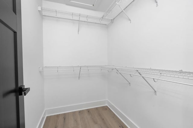 9 Walnut St, Fishersville, VA 22939 - walk in closet featuring wood finished floors