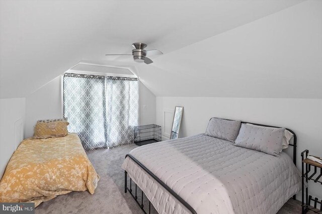 10815 Downton Ave, Spotsylvania, VA 22553 - photo 71