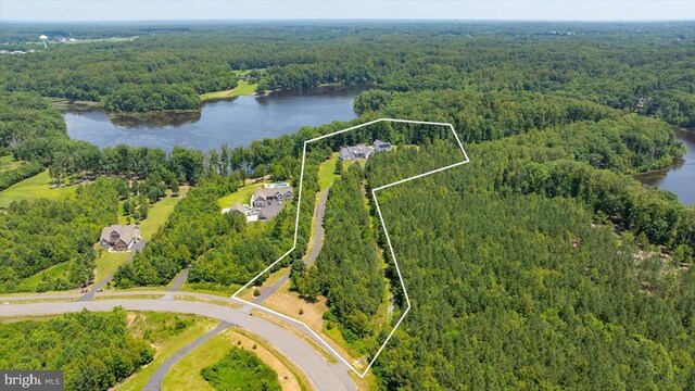 10815 Downton Ave, Spotsylvania, VA 22553 - photo 3