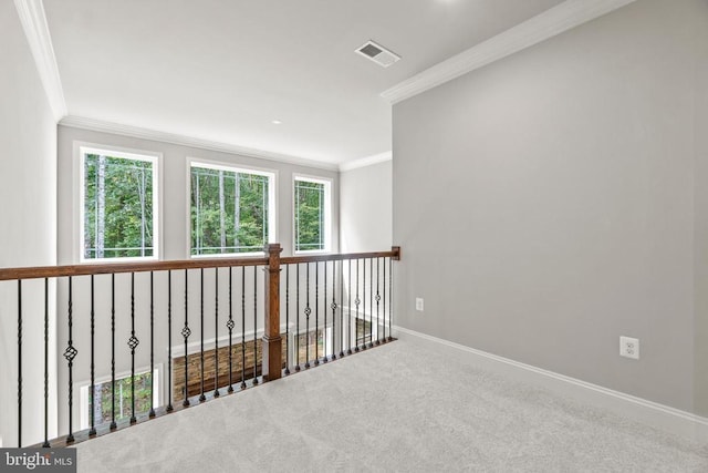 5903 Copper Mill Dr, Fredericksburg, VA 22407 - photo 28