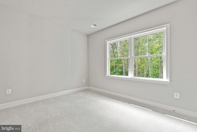 5903 Copper Mill Dr, Fredericksburg, VA 22407 - photo 31