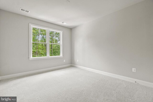 5903 Copper Mill Dr, Fredericksburg, VA 22407 - photo 29