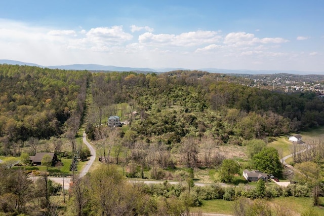 490 Old Greenville Rd, Staunton, VA 24401 - photo 9