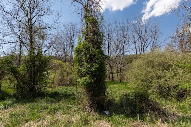 490 Old Greenville Rd, Staunton, VA 24401 - photo 65