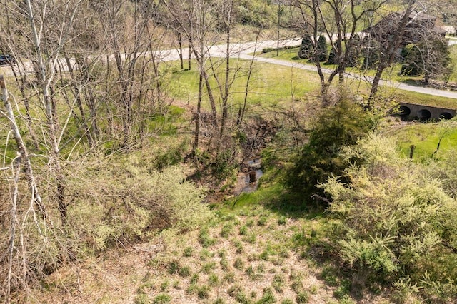 490 Old Greenville Rd, Staunton, VA 24401 - photo 22