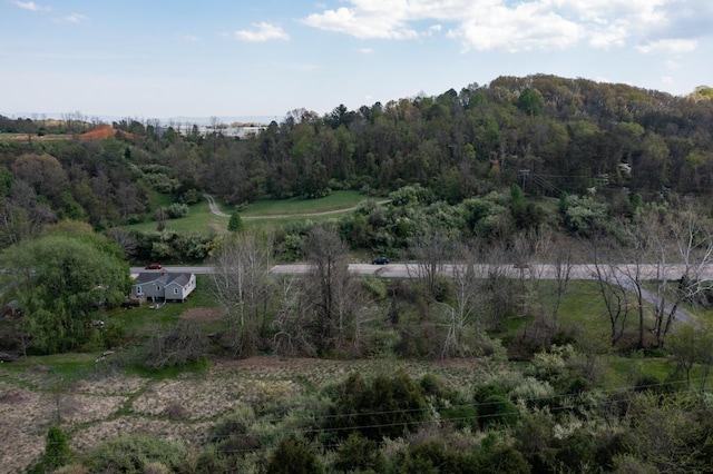 490 Old Greenville Rd, Staunton, VA 24401 - photo 50