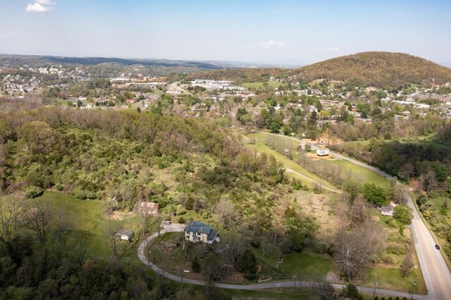 490 Old Greenville Rd, Staunton, VA 24401 - photo 45