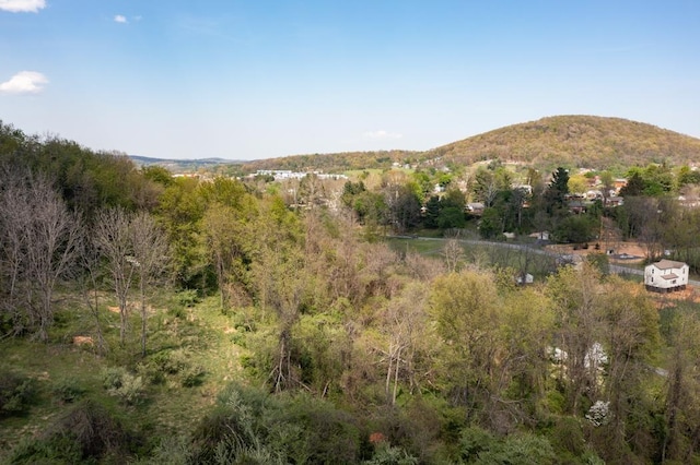 490 Old Greenville Rd, Staunton, VA 24401 - photo 49