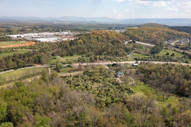 490 Old Greenville Rd, Staunton, VA 24401 - photo 33