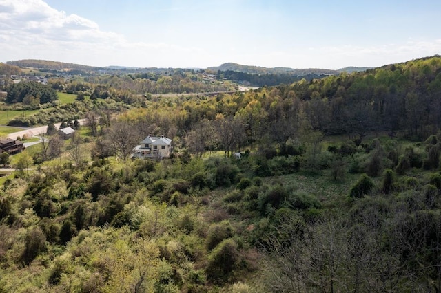 490 Old Greenville Rd, Staunton, VA 24401 - photo 55