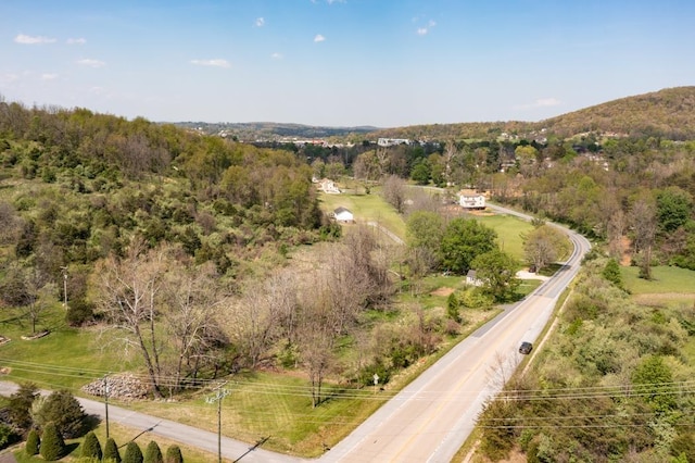 490 Old Greenville Rd, Staunton, VA 24401 - photo 15