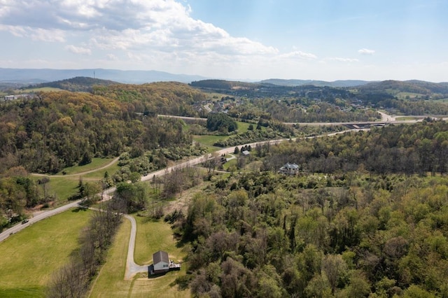 490 Old Greenville Rd, Staunton, VA 24401 - photo 28