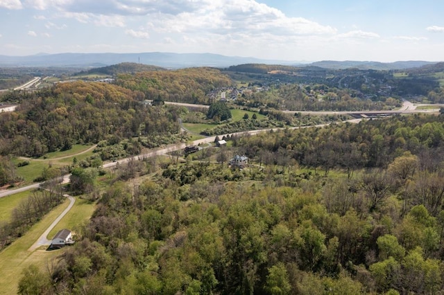 490 Old Greenville Rd, Staunton, VA 24401 - photo 30