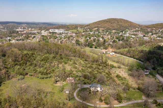 490 Old Greenville Rd, Staunton, VA 24401 - photo 44