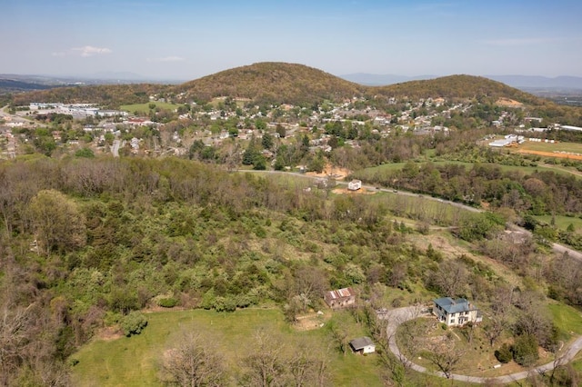 490 Old Greenville Rd, Staunton, VA 24401 - photo 42