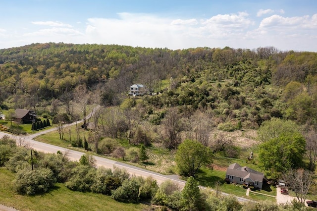 490 Old Greenville Rd, Staunton, VA 24401 - photo 16