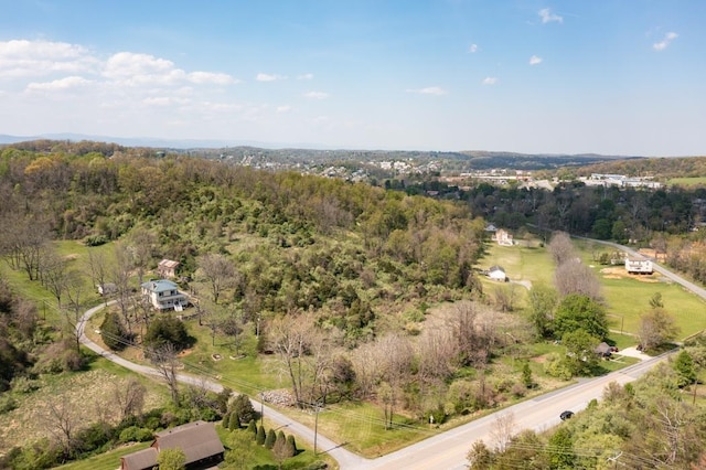490 Old Greenville Rd, Staunton, VA 24401 - photo 12