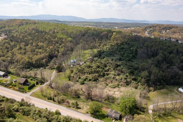 490 Old Greenville Rd, Staunton, VA 24401 - photo 7