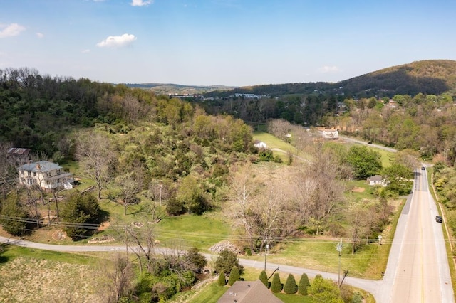 490 Old Greenville Rd, Staunton, VA 24401 - photo 58