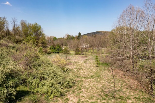 490 Old Greenville Rd, Staunton, VA 24401 - photo 24